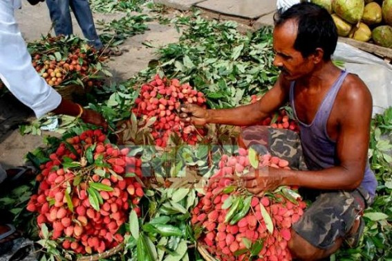Demand for seasonal fruit goes high in the state